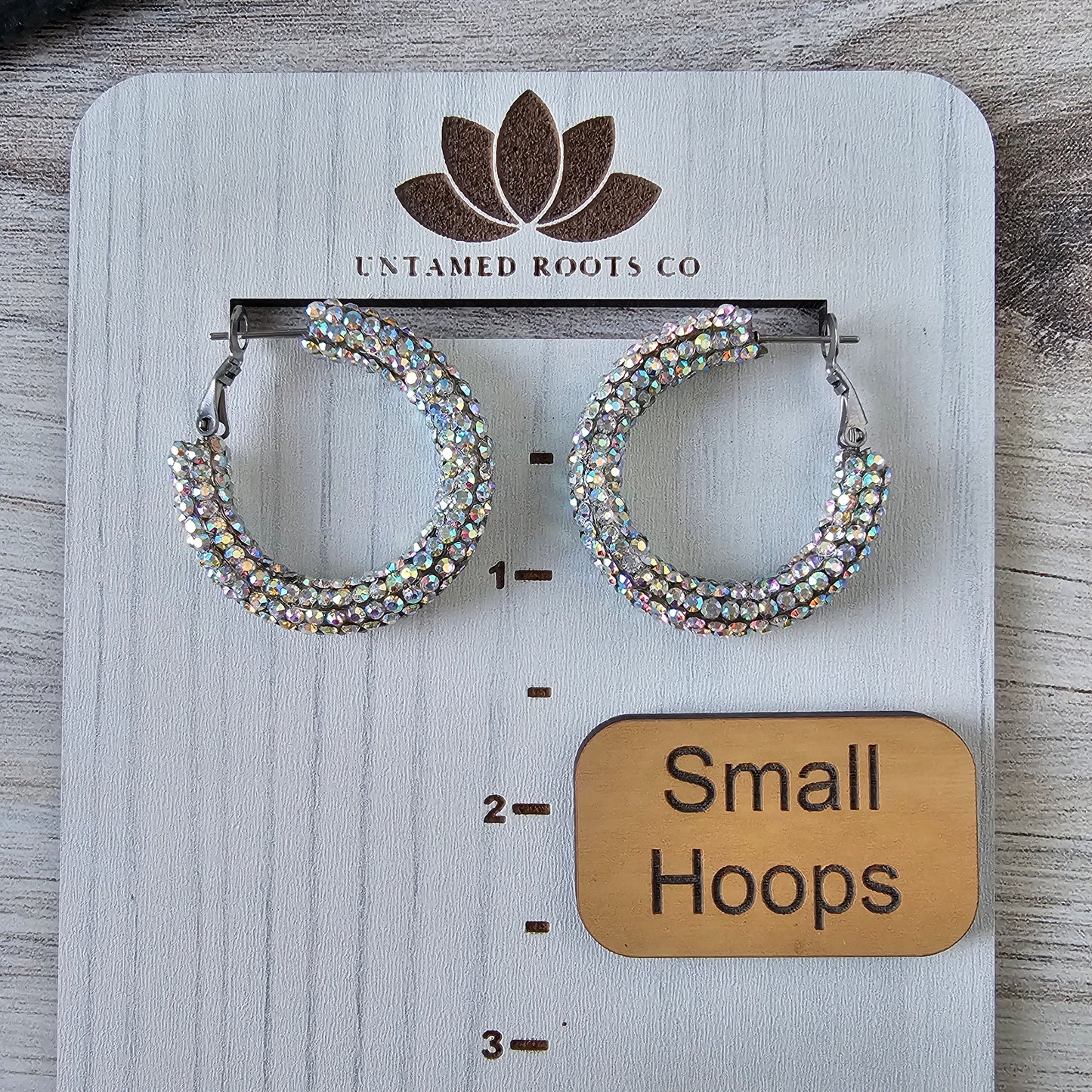 Iridescent Rhinestone Hoops (2 sizes)