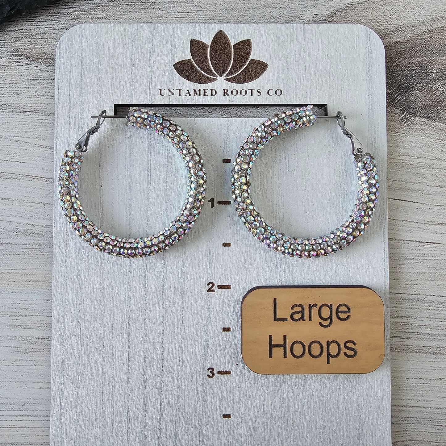 Iridescent Rhinestone Hoops (2 sizes)