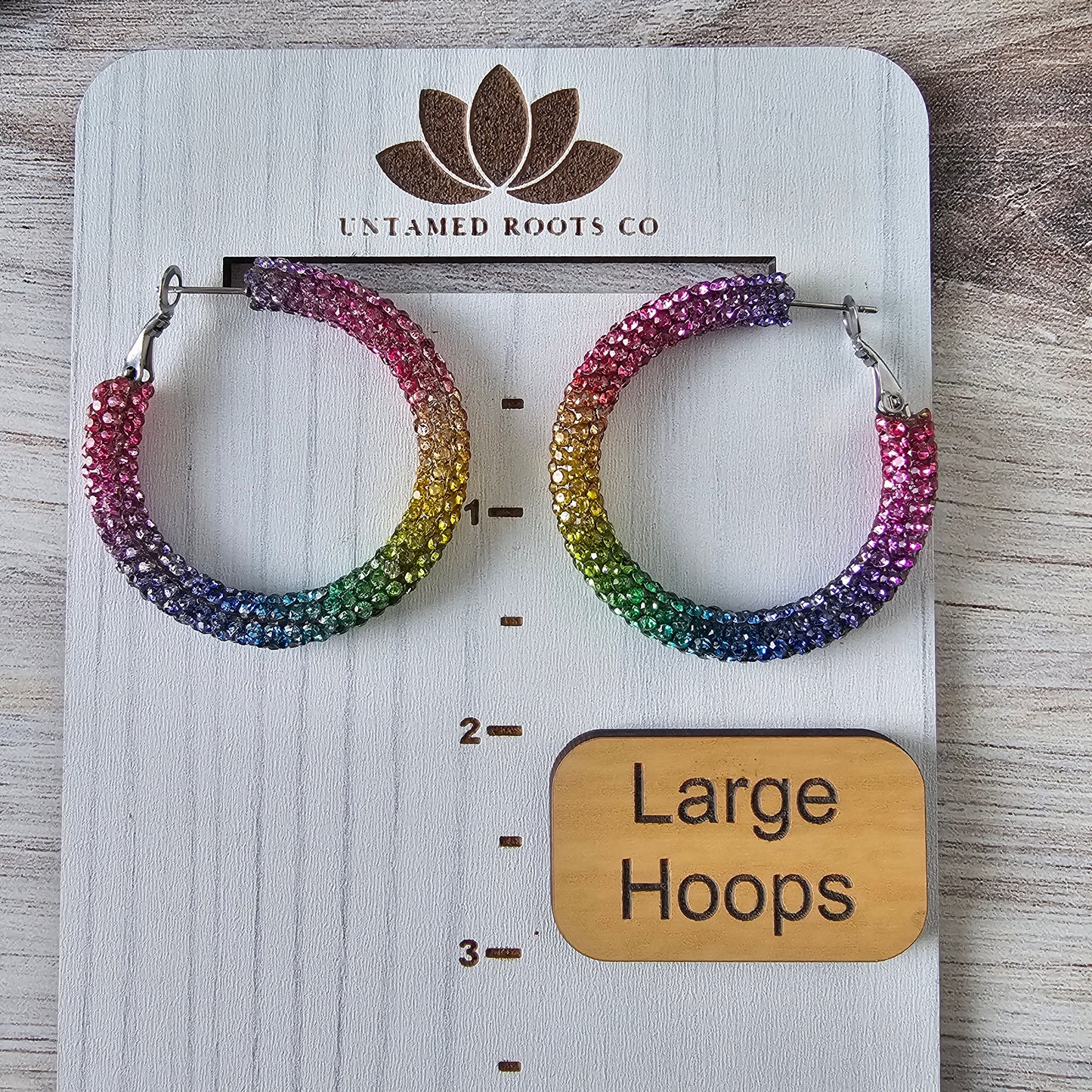 Rainbow Rhinestone Hoops (2 Sizes)