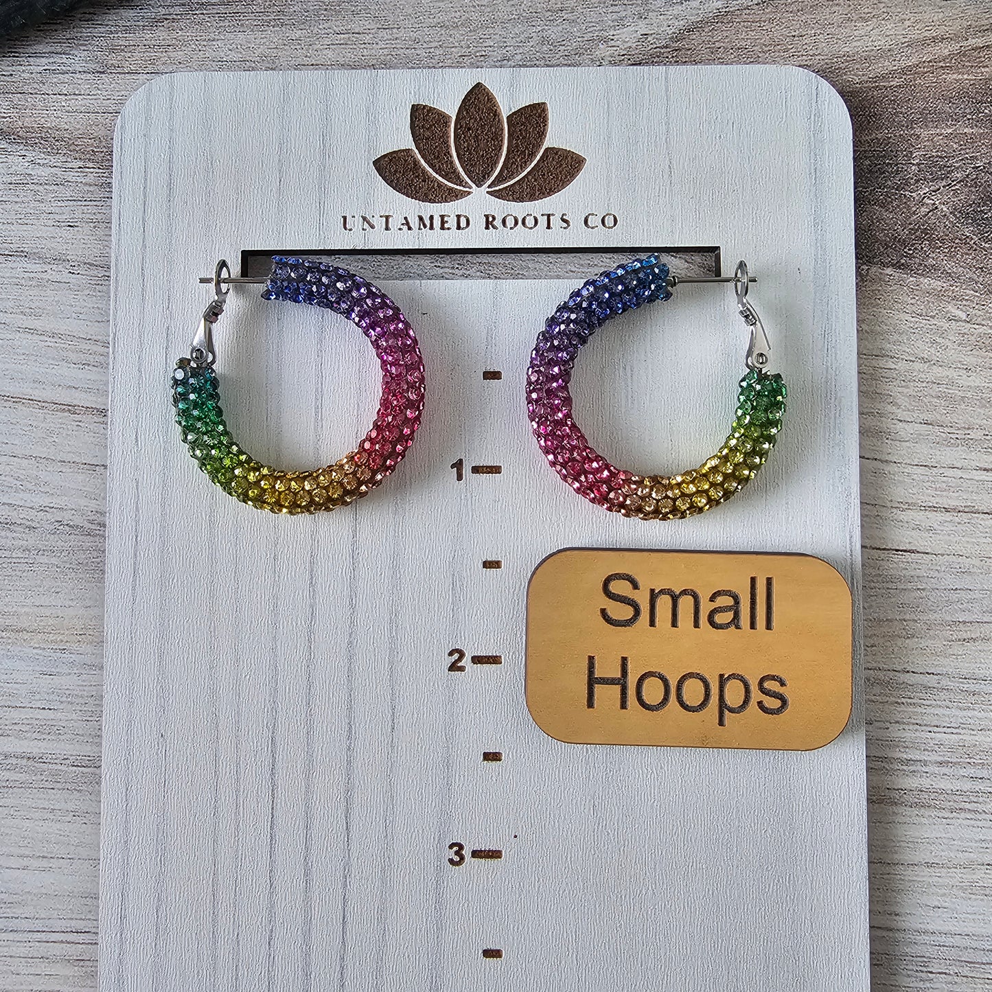 Rainbow Rhinestone Hoops (2 Sizes)