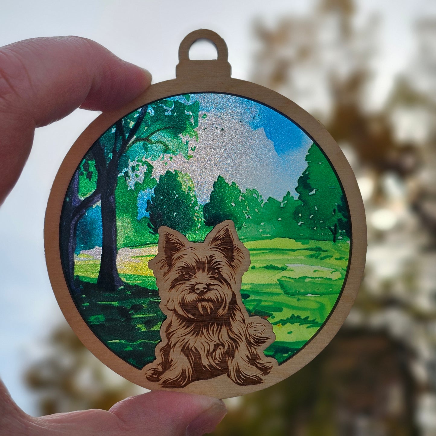 Dog- Yorkshire Terrier