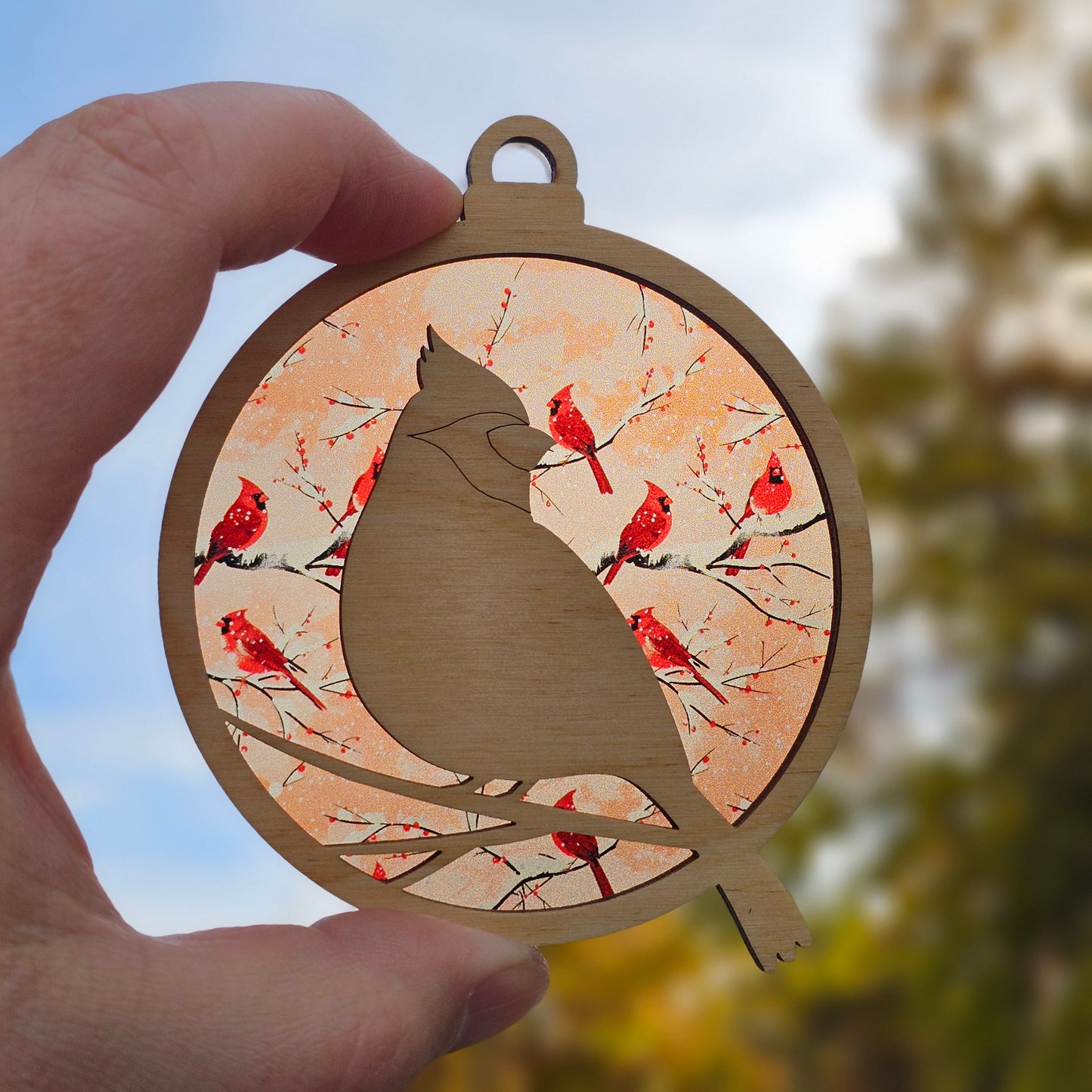 Cardinal- Snowy Branches