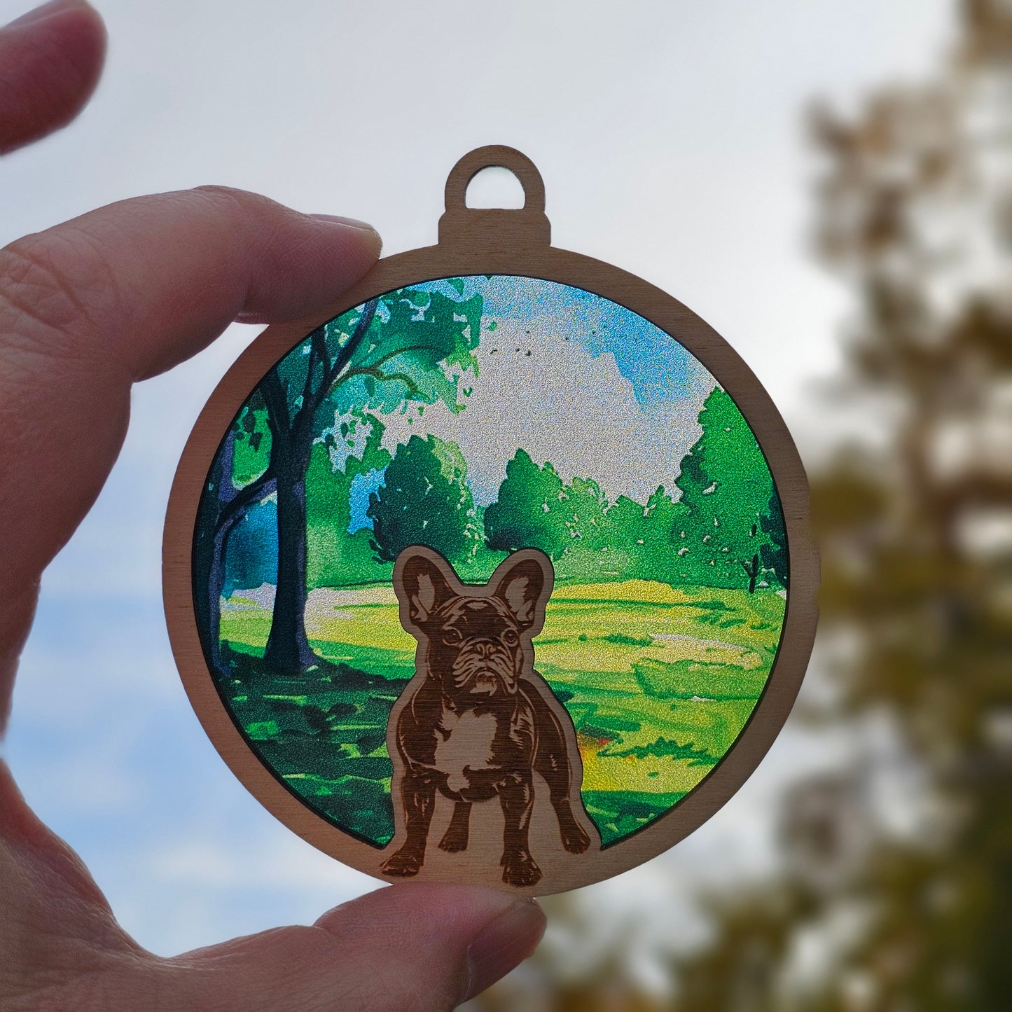 Dog- French Bulldog (Frenchie)