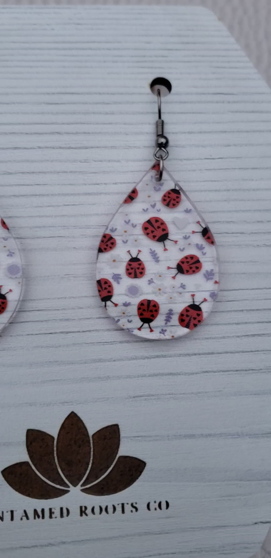 Lovely Lady Bug Earrings