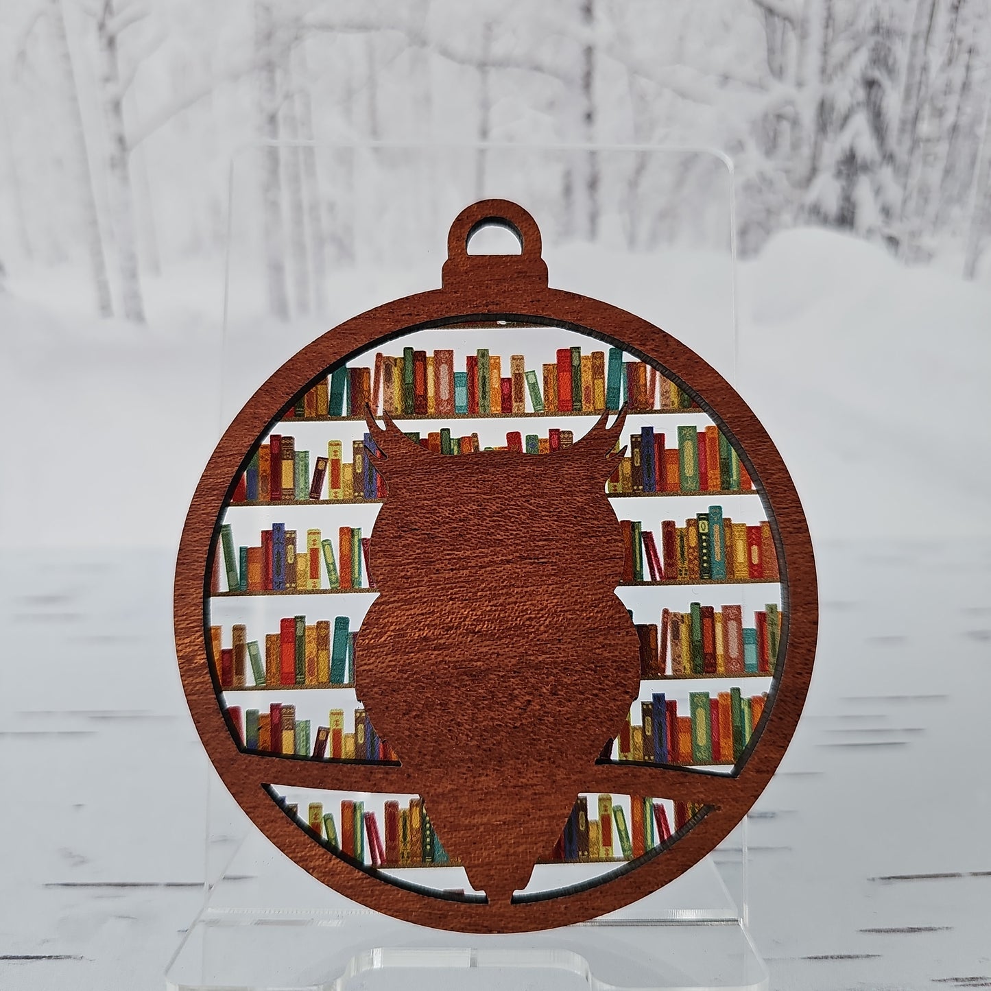 Owl/Teacher Ornament - Translucent Bookshelf