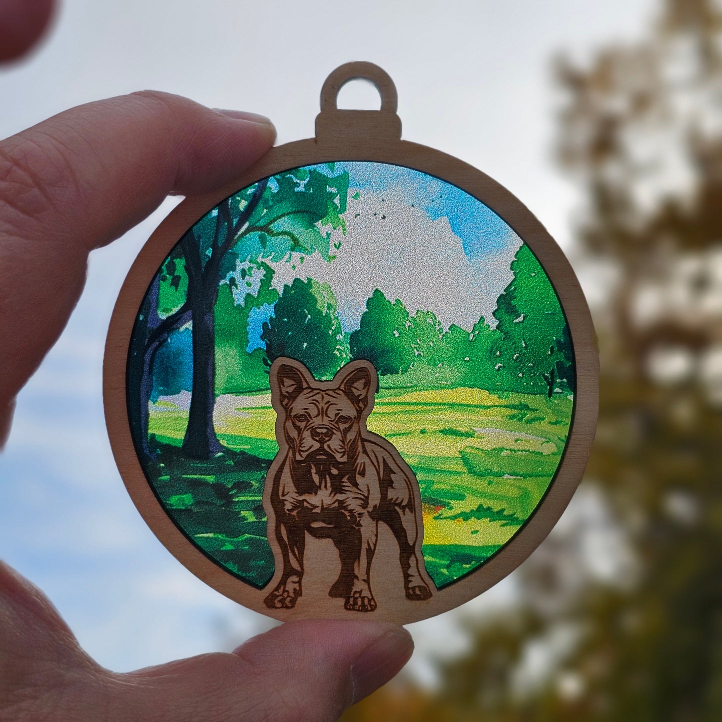 Dog- American Bulldog