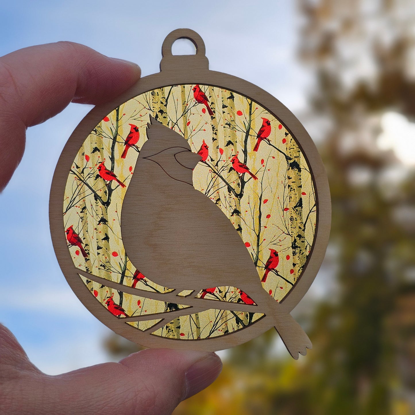 Cardinal- Birch Trees