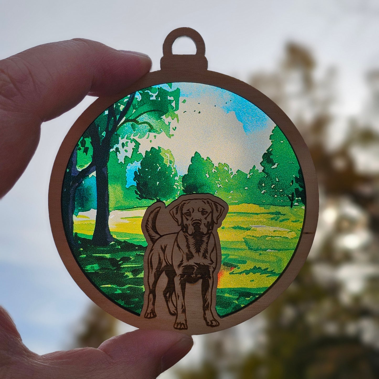 Dog- Labrador Retriever