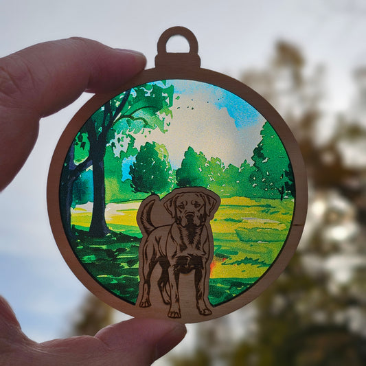 Dog- Labrador Retriever